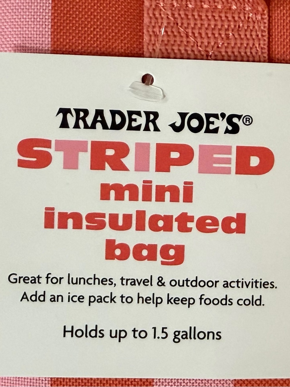 NWT Trader Joe’s Striped Mini Insulated Bag - Cooler Lunch Box - Picture 6 of 7
